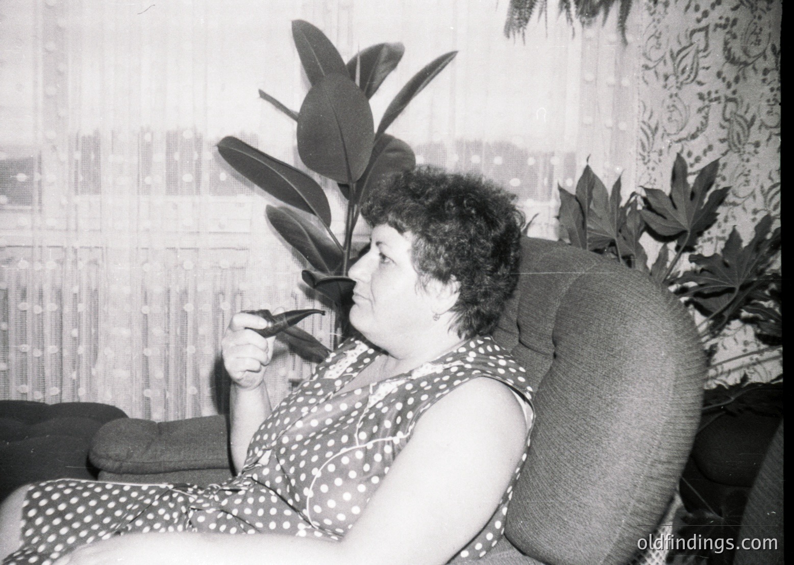 Mid-century indoor portrait of a woman in a polka-dot dress, seated in a reclined armchair beside a large leafy plant. The patterned wallpaper and vintage furniture suggest a 1960s–1970s domestic setting.