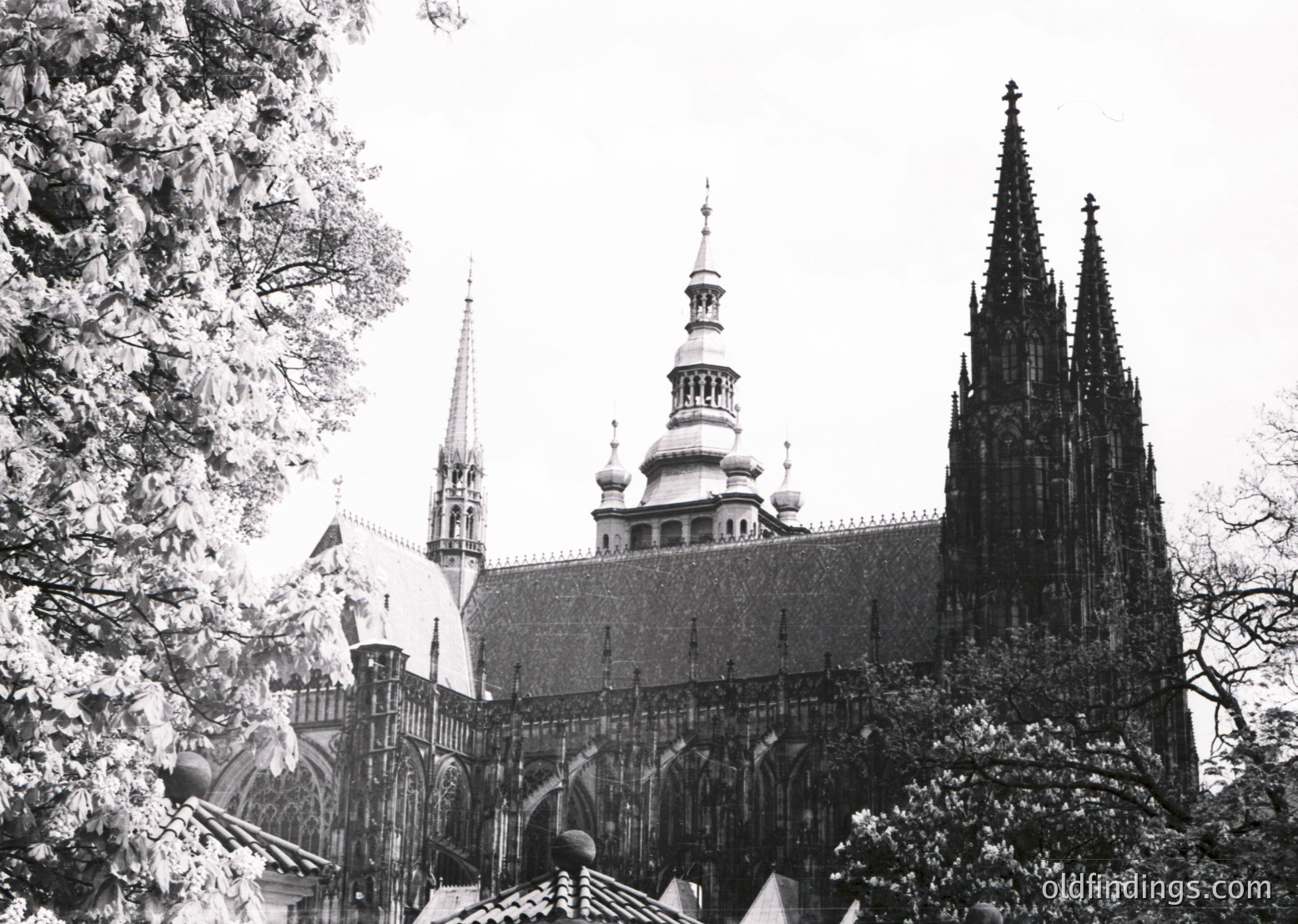 Gothic cathedral spires and domes framed by bare winter trees, likely European. Distinctive pointed arches and ornate roofline suggest 14th–16th century architecture. Snow dusts rooftops and branches, indicating cold season.