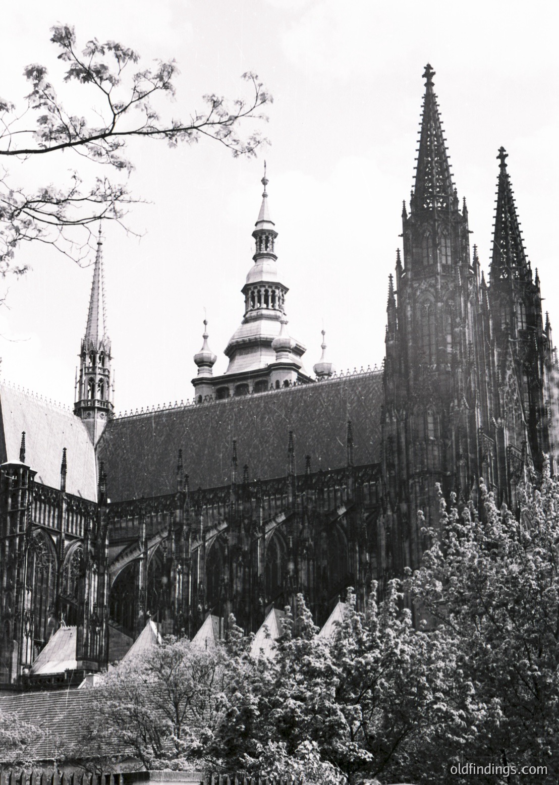Gothic cathedral façade with intricate spires and pointed arches, likely Cologne Cathedral (ölnerDom). Ornate brickwork and twin towers dominate the skyline. Overgrown shrubs frame the lower left. Black-and-white print suggests vintage or archival quality (). Iconic European heritage site ().