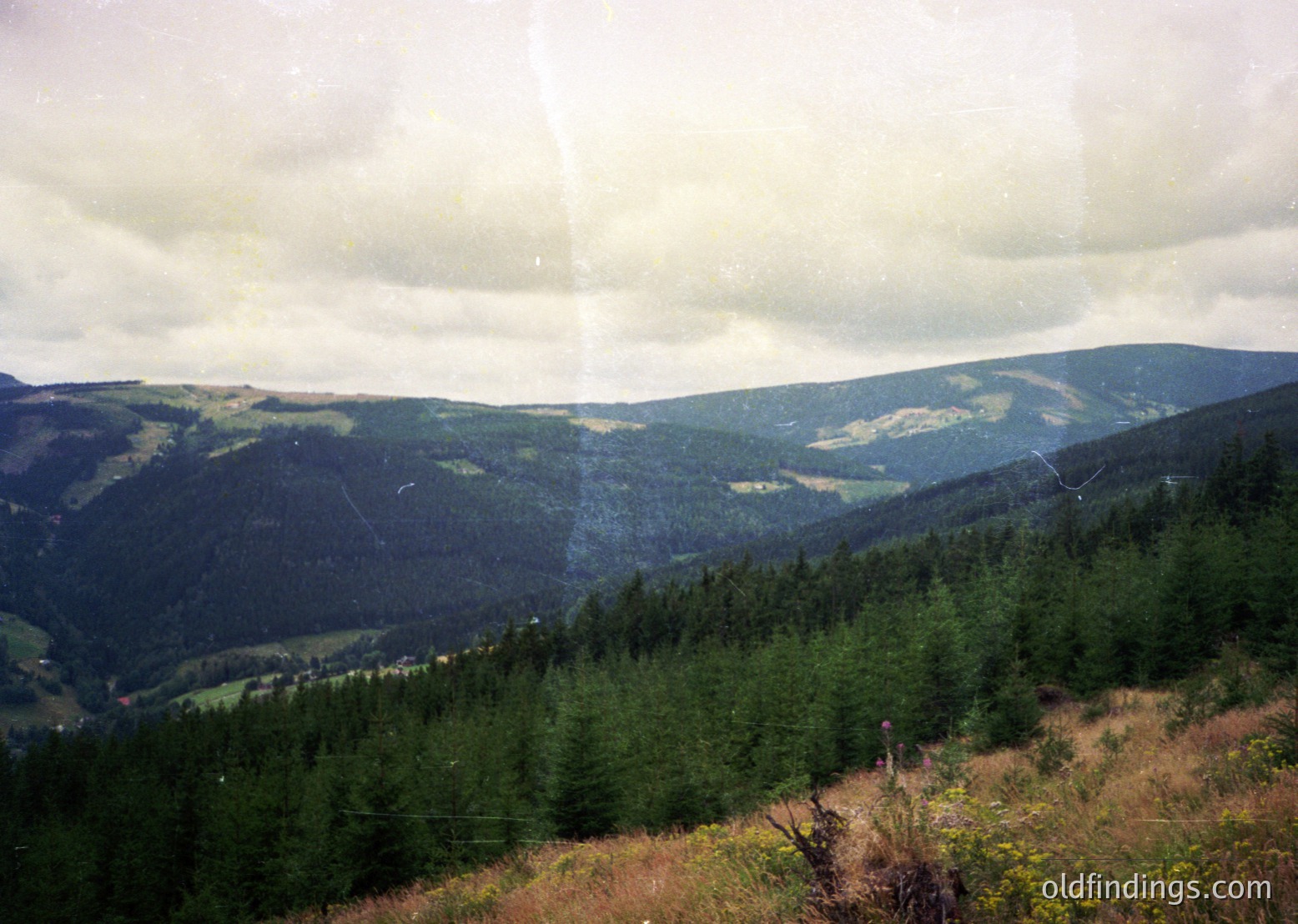 Vintage landscape shot of dense coniferous forests rolling into misty mountain ridges under overcast skies. Distinctive layered terrain suggests alpine or boreal region. Film grain and sepia tones indicate 1970s-1980s photography.