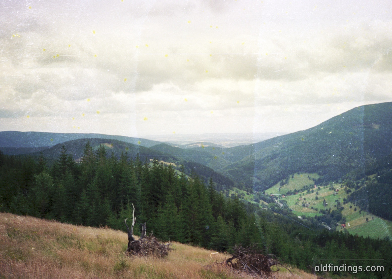 Vintage-style mountain valley with dense coniferous forests and rolling green hills under overcast skies. Distinctive dry, golden grass foreground with scattered tree stumps. Likely Eastern European alpine region, 1970s-1990s aesthetic.