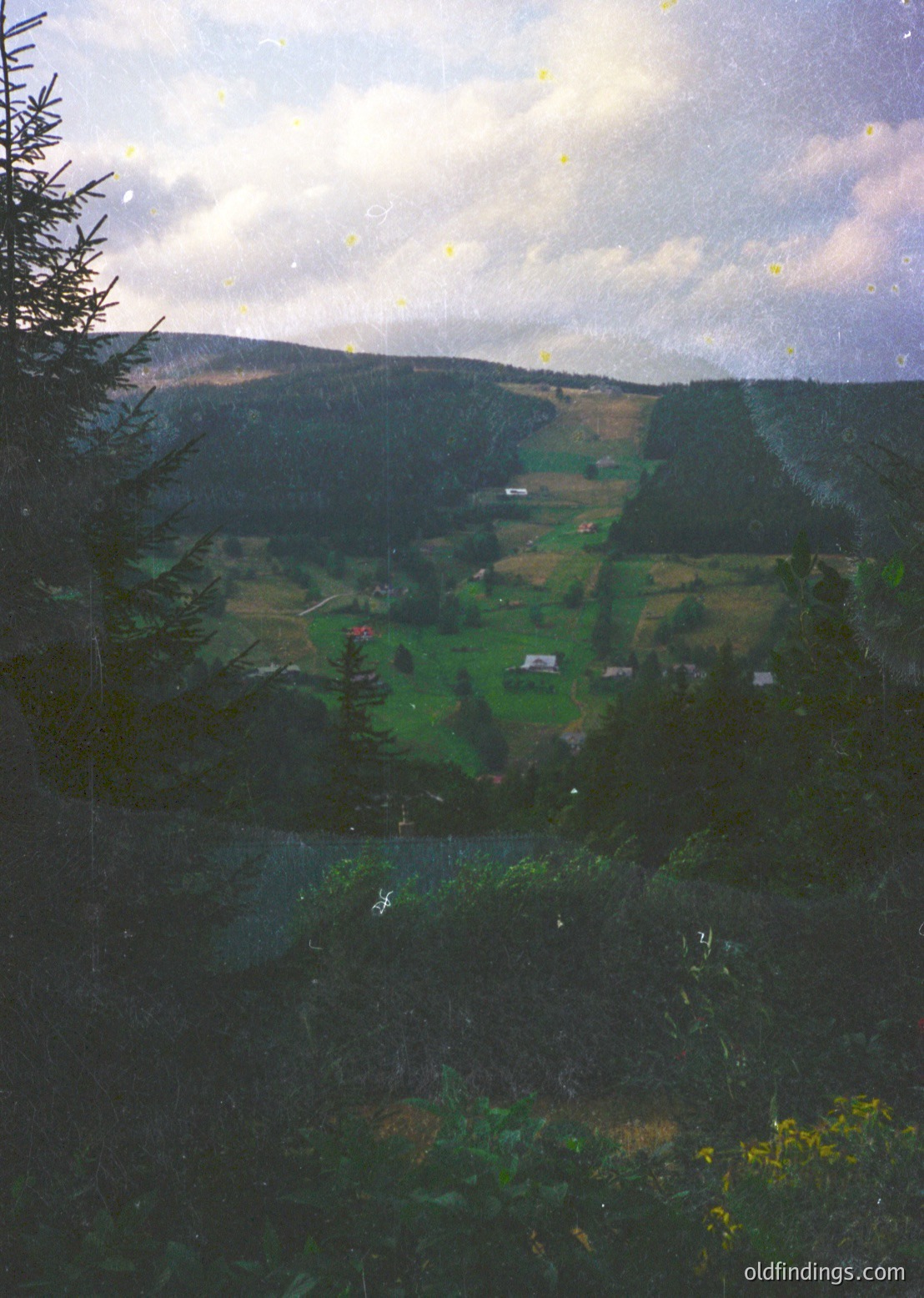 Rural valley framed by dense forest, showcasing terraced farmland with scattered buildings. Soft light filters through mist, enhancing atmospheric depth. Likely European alpine or hilly region.