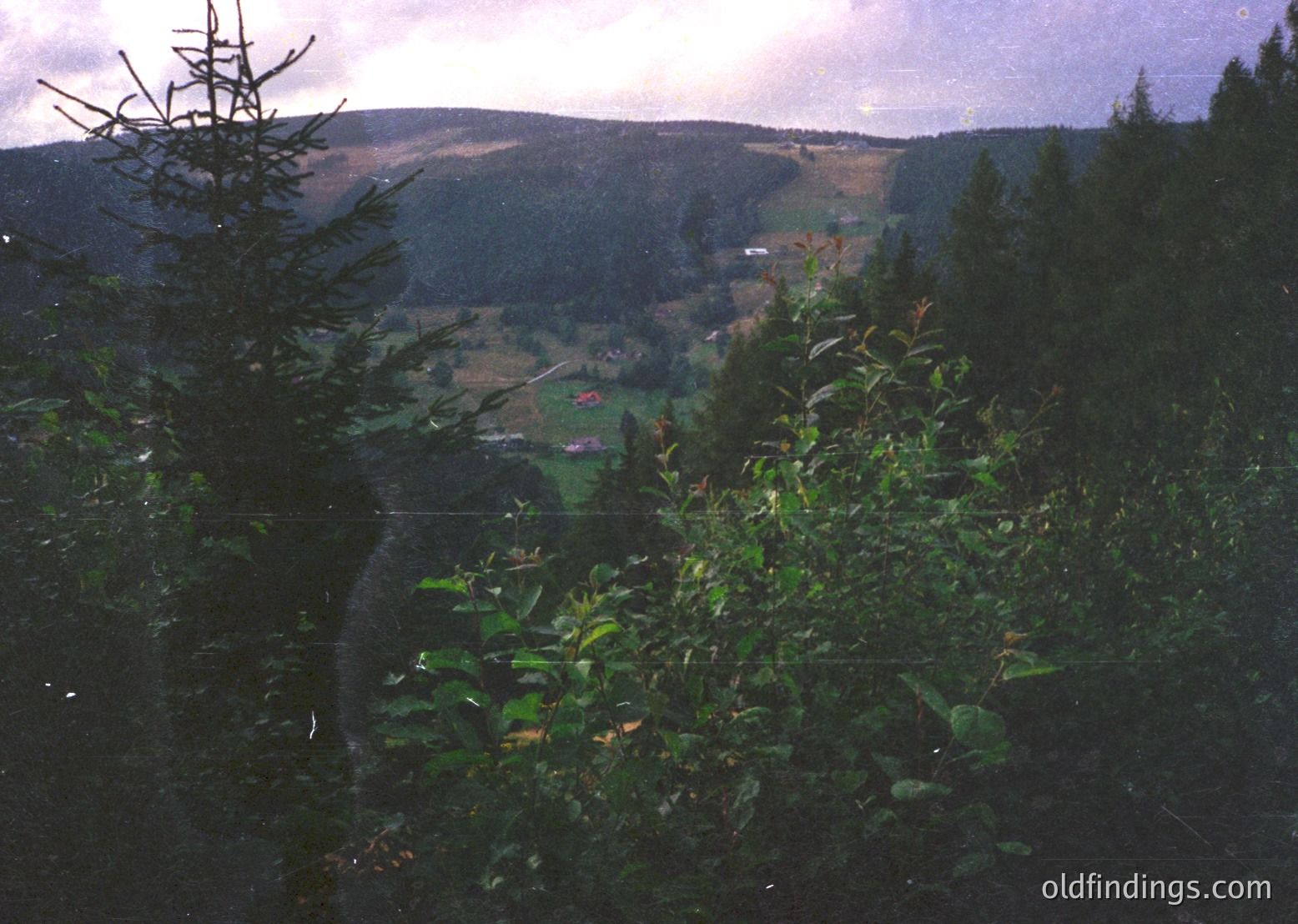 Lush valley framed by dense forest, misty hills in background under overcast skies. Vibrant greenery dominates foreground with a winding waterway. Likely European alpine or temperate region.