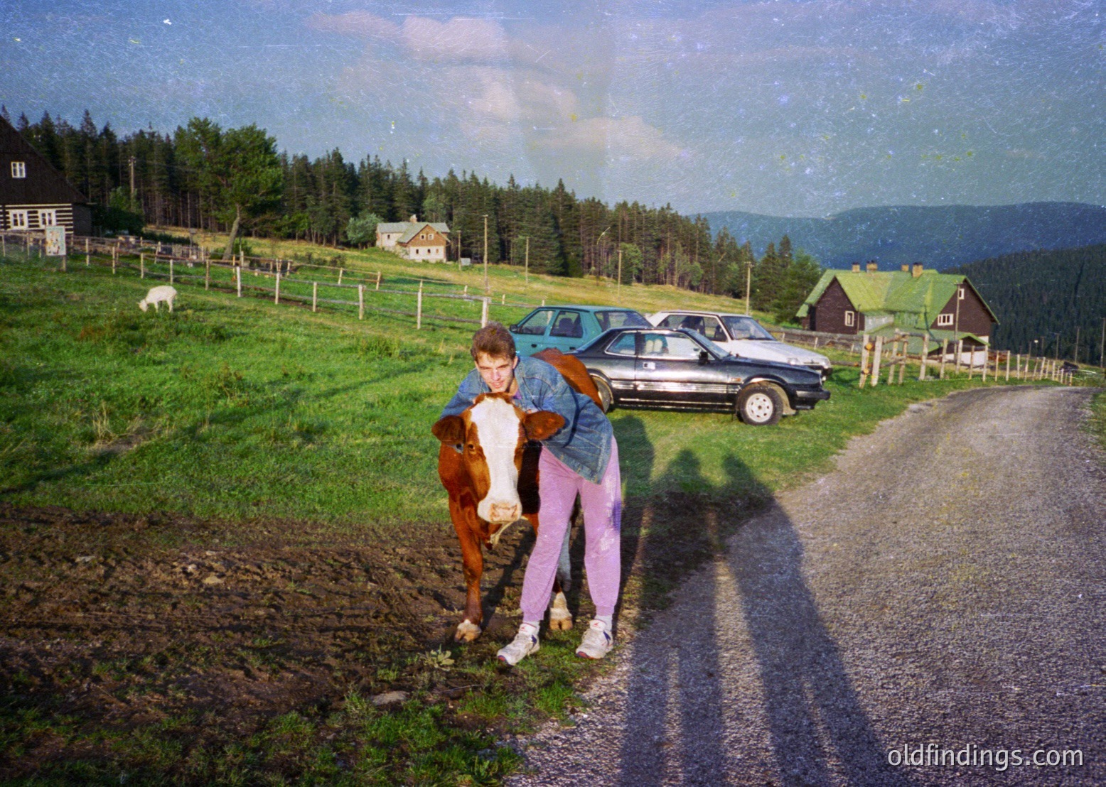 Vintage rural scene with two individuals hugging a brown horse beside a gravel road. Classic 1970s-era station wagons parked in background. Wooden farmhouses and lush green fields with fenced livestock. Overcast sky with soft, diffused light.