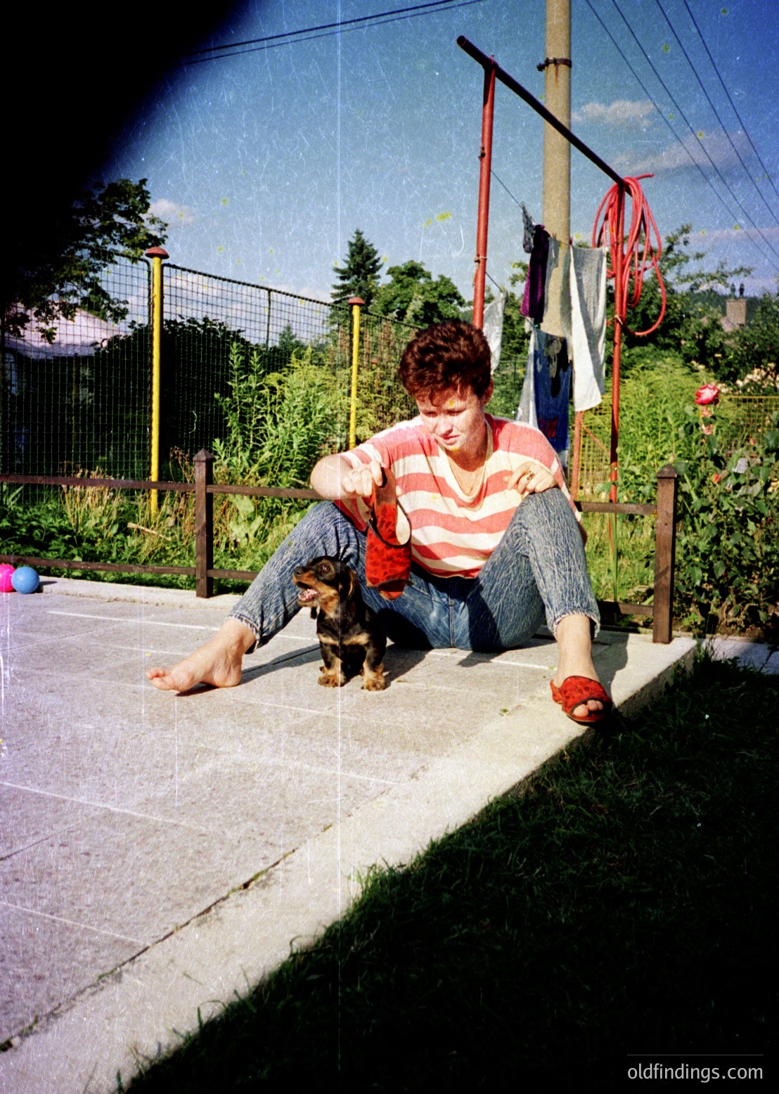 A person in a striped long-sleeve shirt and denim shorts sits on a concrete ledge, petting a small dog. Laundry hangs on a red line in a residential backyard with greenery and a fence. Mid-20th century suburban lifestyle captured.