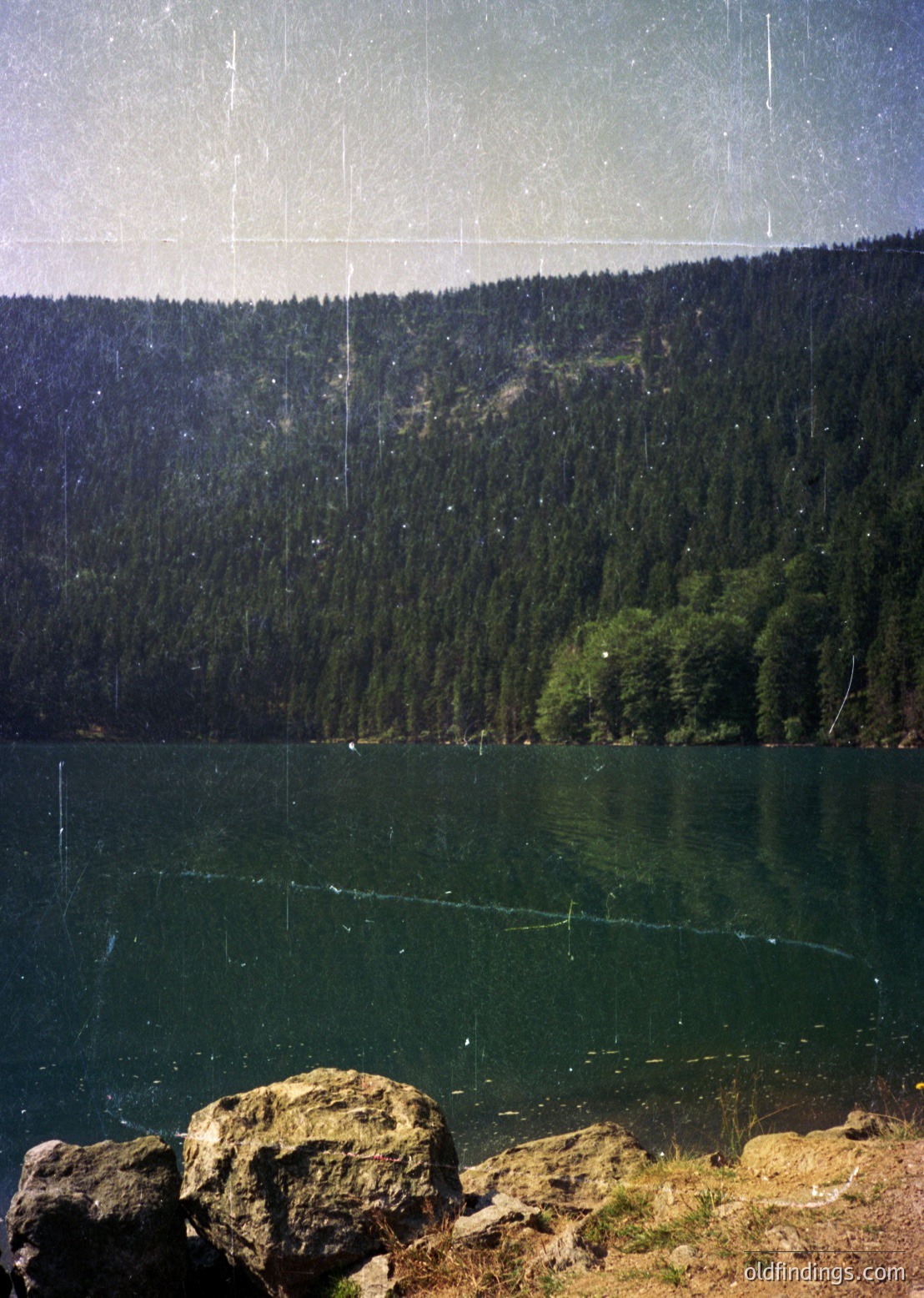 Vibrant alpine lake framed by dense coniferous forest under clear skies, with rocky foreground. Reflective water surface captures mirrored tree reflections. Likely European highlands, possibly or .