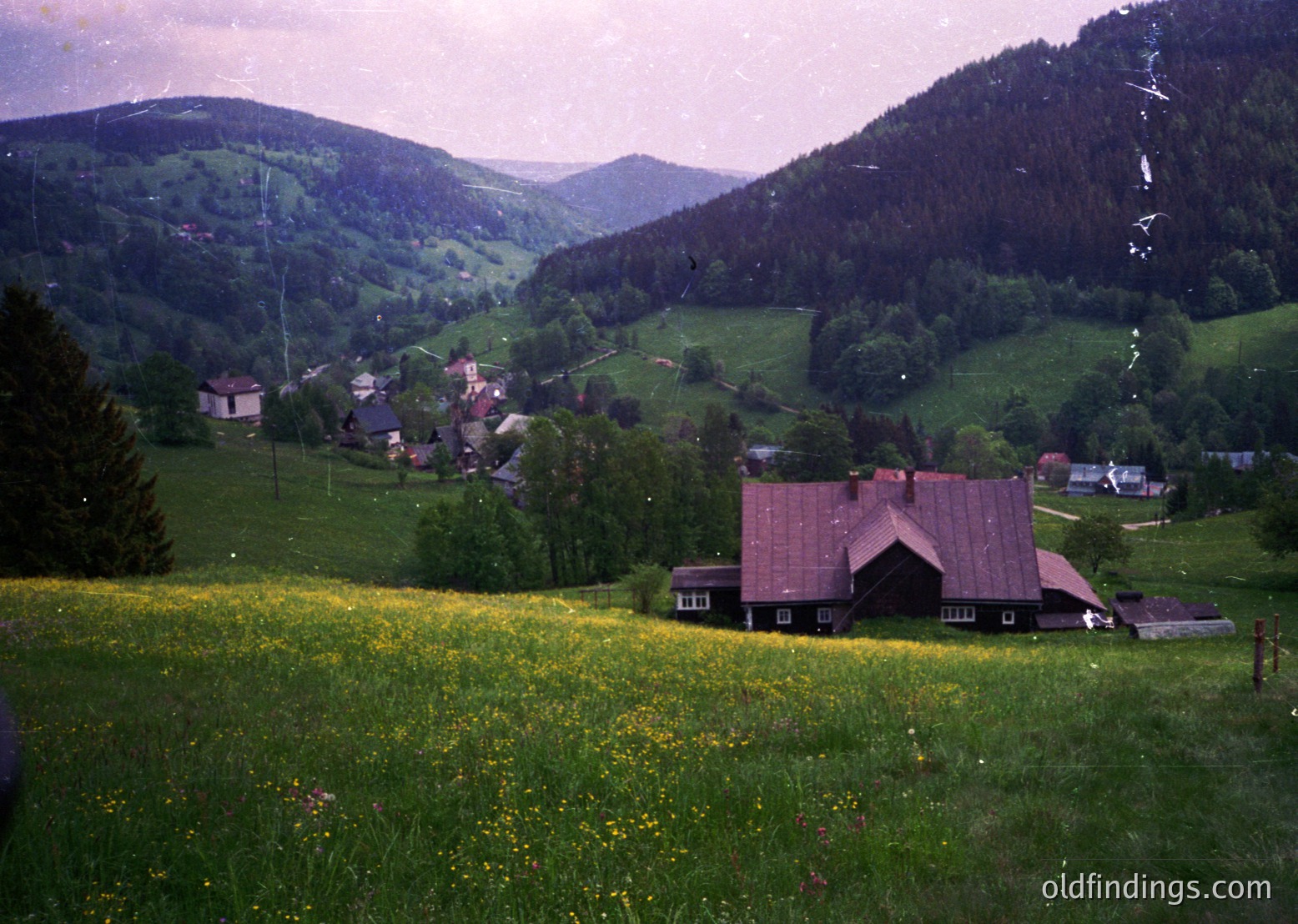 Vintage alpine village nestled in rolling green hills, featuring a prominent red-roofed chalet-style house in foreground. Scattered homes and dense forest line winding valley roads. Vibrant wildflowers dominate the meadow. Likely European alpine region, mid-20th century.