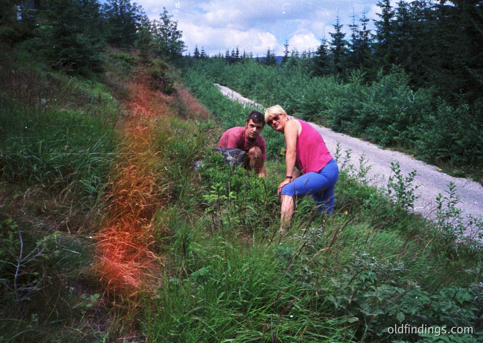 Two individuals explore a lush, grassy trail in a forested area, likely mid-20th century. The woman in a pink tank top and blue jeans crouches near vibrant wildflowers, while the man in a striped shirt kneels beside her. Dense greenery and a gravel path frame the scene, suggesting a hiking or nature study outing.