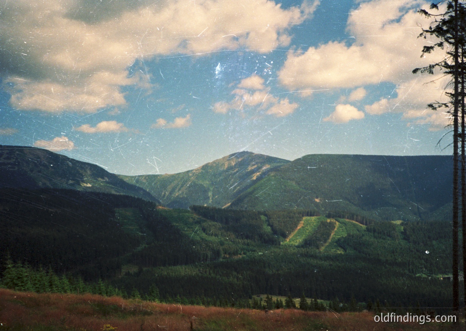 Vintage slide-style mountain landscape with dense coniferous forests, rolling terrain, and layered cloud formations. Evidence of slight film scratches and color saturation typical of 1970s-1980s photography.
