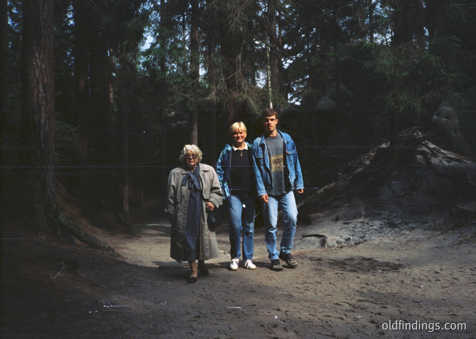 Three individuals pose on a sunlit forest path, surrounded by dense pine trees. The elder woman wears a beige coat and sandals; the younger woman in a black jacket and ripped jeans; the man in a denim jacket, jeans, and a graphic tee. The scene suggests a mid-20th-century outdoor gathering, likely in a temperate forest region.