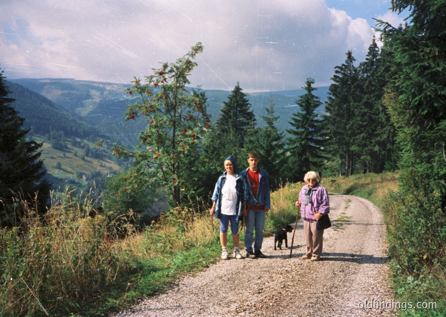 Three hikers pose on a gravel forest path, surrounded by dense coniferous trees and wildflowers. Striking alpine valley and layered ridges stretch into the background under bright sunlight. Mid-20th century clothing suggests outdoor recreation. Ideal for travel, nature, and vintage stock imagery.
