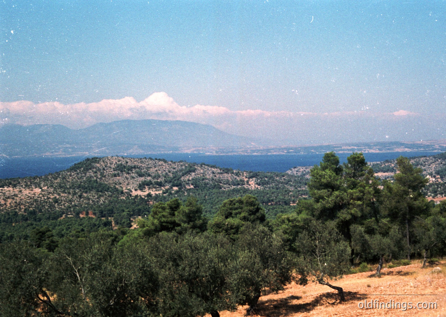 Vast coastal landscape with rolling hills, dense pine forests, and a distant mountain range under clear skies. The horizon features a calm sea meeting the land. Likely Mediterranean or similar temperate climate.