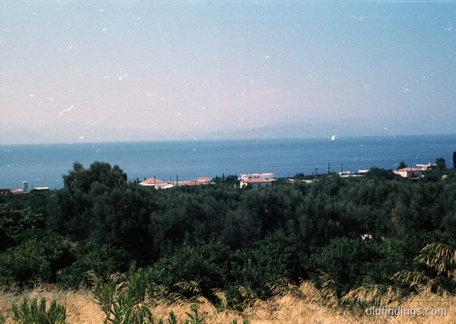 Coastal landscape with dense greenery in foreground, transitioning to a serene sea meeting distant hills. Mid-20th century architecture visible along shoreline. Vintage film grain and slight overexposure enhance nostalgic aesthetic.
