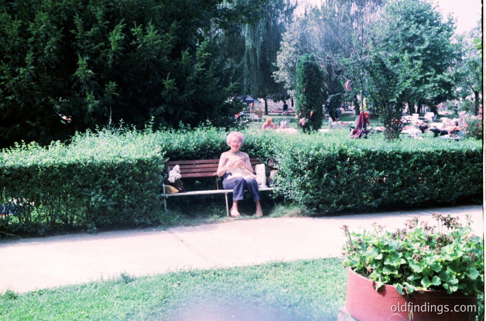 A serene park scene from the 1970s–1980s, featuring an elderly woman seated on a wooden bench surrounded by manicured hedges. She wears a light-colored blouse and dark pants, holding a small white object. The paved pathway and potted plants suggest urban park design. Ideal for vintage lifestyle, historical research, or nostalgic decor references.