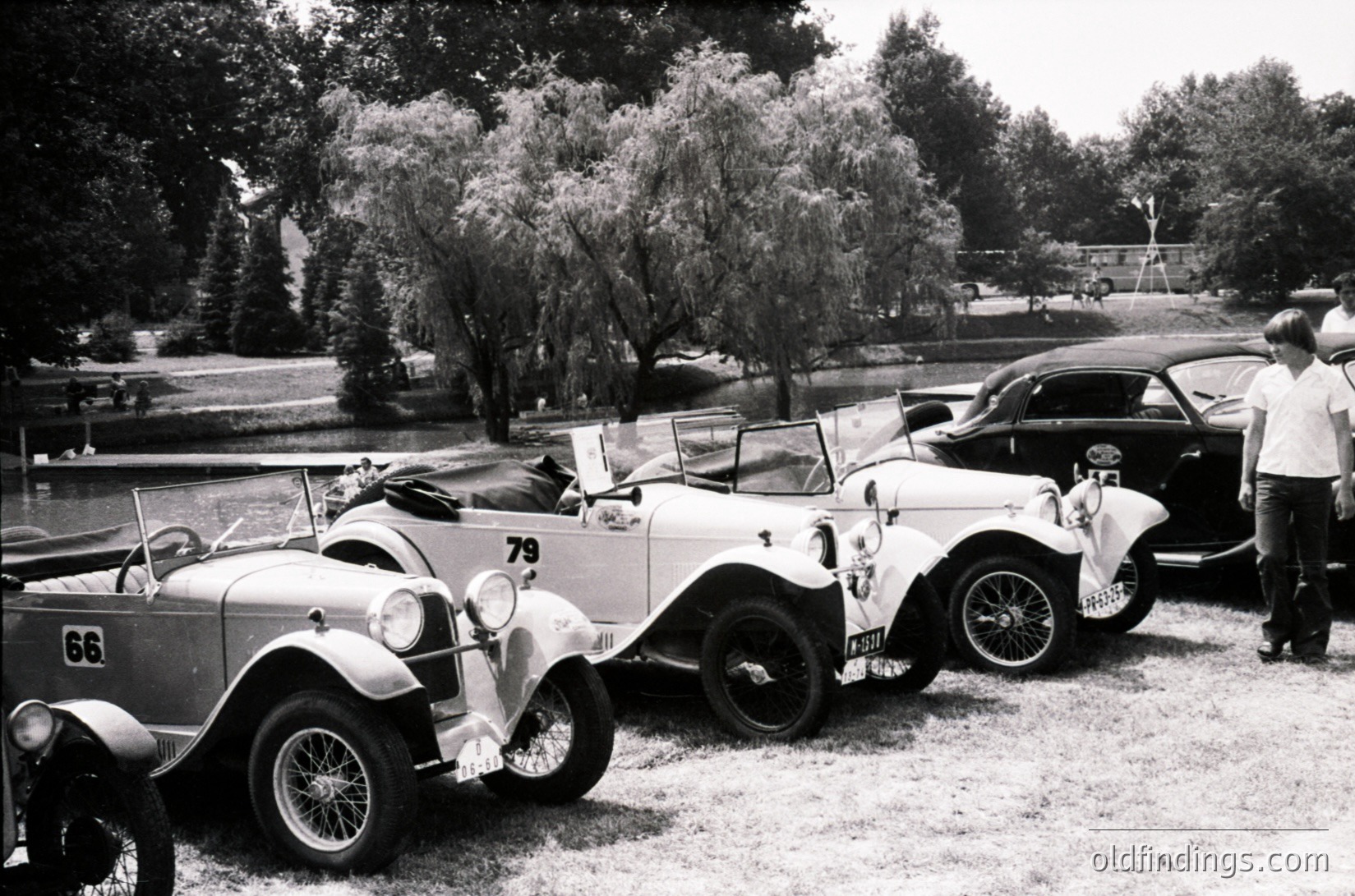 Classic vintage roadsters lined up in a grassy park, 1950s-60s era. Three open-top cars feature spoked wheels, chrome accents, and numbered racing stickers (, ). A man in casual attire stands beside the rightmost vehicle. Lush trees and a pond in the background suggest an outdoor gathering or car show.