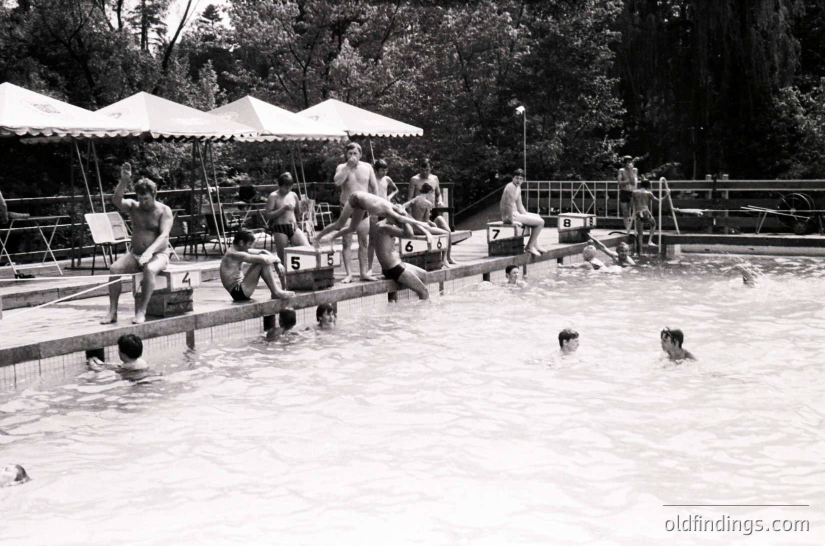 Mid-20th century outdoor swimming pool with numbered diving boards, crowded with swimmers. Wooden deck and metal railings frame the pool, surrounded by lush greenery and a shaded pavilion. Classic black-and-white composition captures mid-century recreational culture.