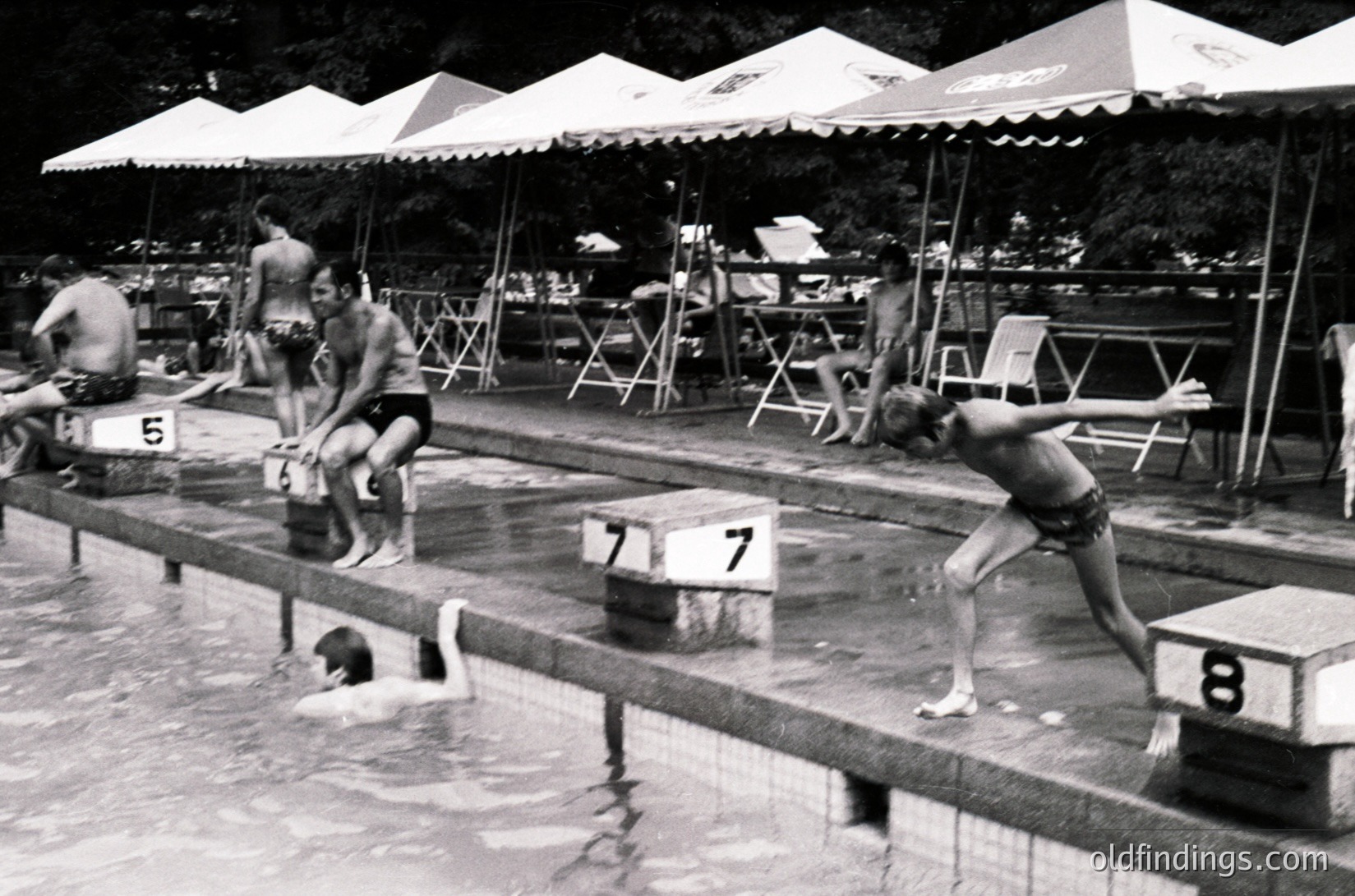 Black-and-white shot of an outdoor swimming pool with numbered lanes (5, 7, 8) and competitive divers mid-dive. Umbrellas branded with "Coca-Cola" provide shade over lounge chairs. Mid-20th century (1950s–1970s) athletic or recreational facility.