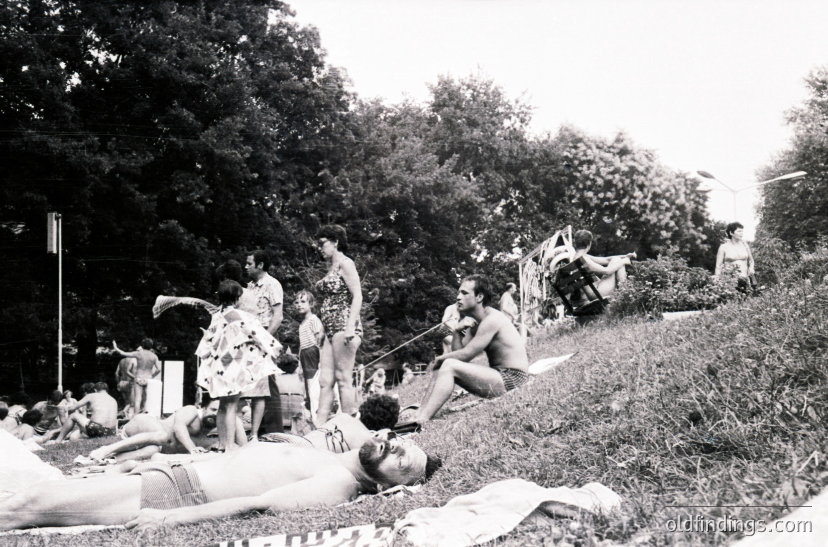Vintage black-and-white scene of a sunbathing group in a lush, wooded park. Mid-20th century fashion—swimsuits, floral dresses, and short hair—suggests 1950s–1960s era. People relax on towels, some seated on grassy slopes, while others stand or lean against trees. Informal, leisurely atmosphere captures post-war European or North American outdoor recreation.