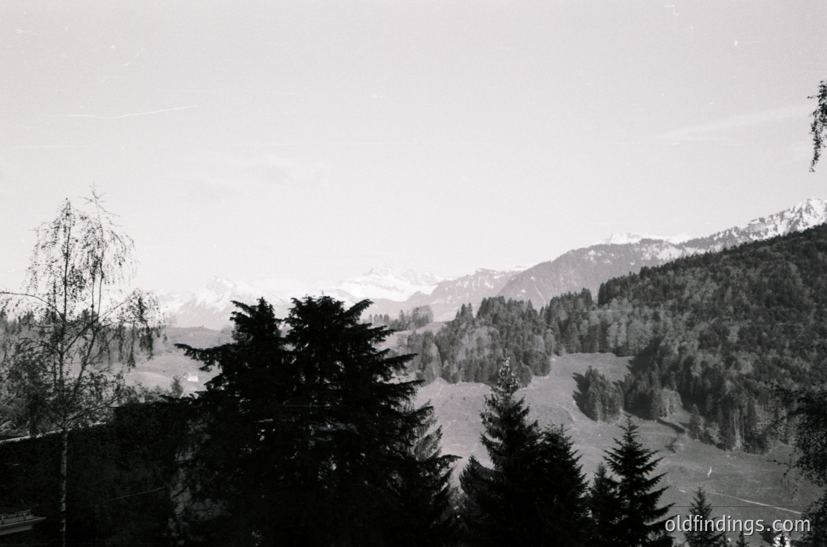 Black-and-white alpine valley framed by dense coniferous forests, with snow-capped peaks in the distance. Mid-20th century monochrome aesthetic captures misty, serene mountain scenery. Potential European Alps or similar range.