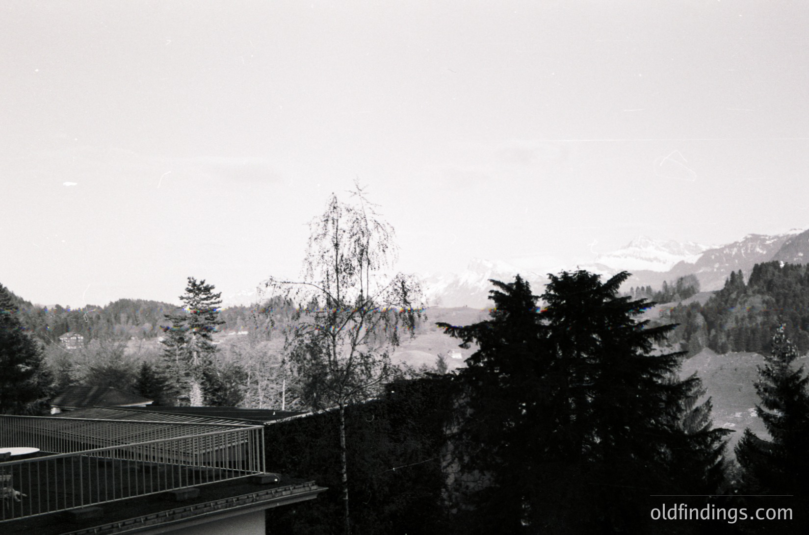 Black-and-white alpine landscape featuring dense coniferous forest and snow-capped peaks in the distance. Mid-century architectural balcony with metal railing in foreground. Overcast sky enhances serene, timeless atmosphere.