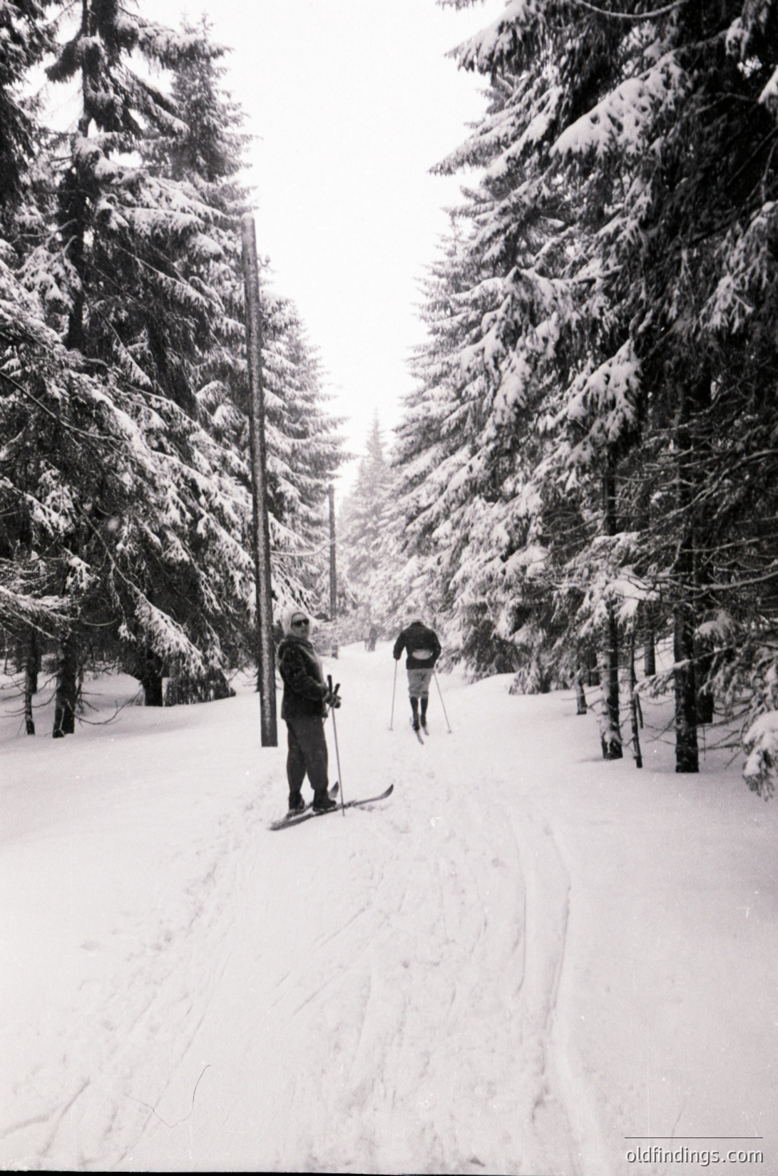 Black-and-white winter scene of two cross-country skiers on a groomed trail through snow-laden coniferous forest, likely European alpine region. Mid-20th century attire suggests or . Dense evergreen canopy frames the path, emphasizing solitude and nature’s quiet beauty. Ideal for historical research on winter sports or vintage outdoor recreation.
