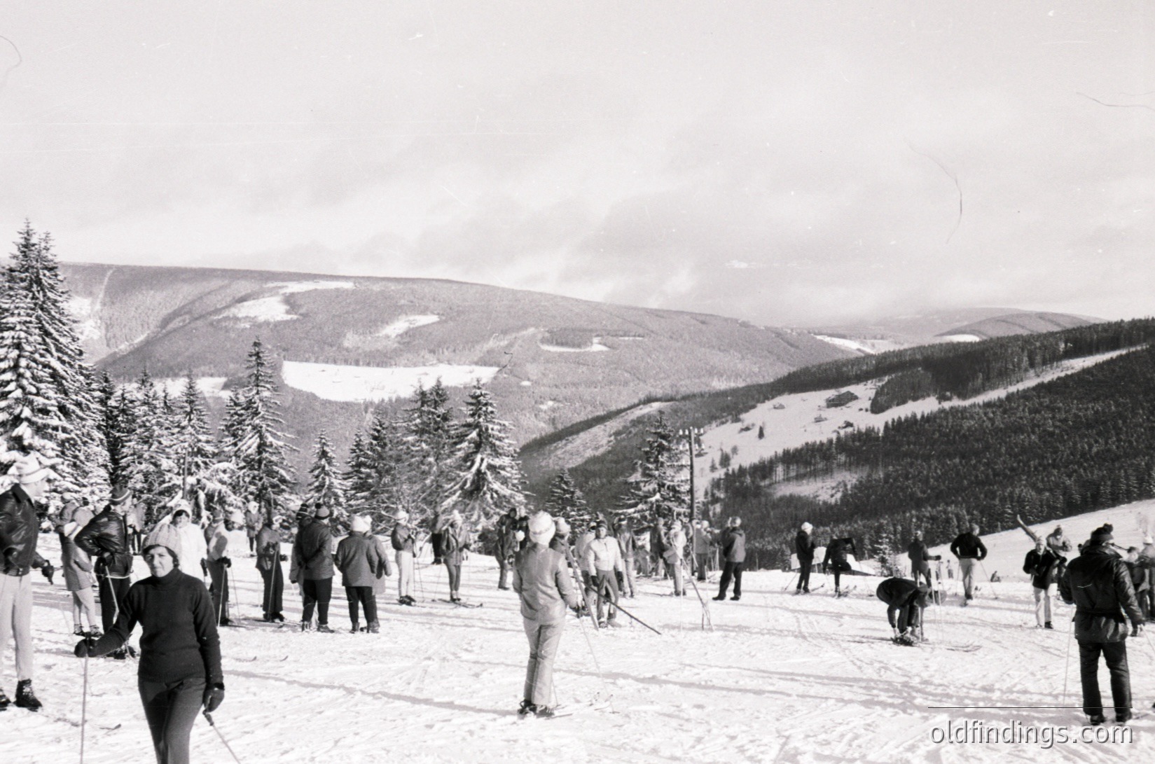 Mid-20th century alpine skiing scene with dense forest and snow-covered slopes. Group of skiers in vintage gear (long skis, wool coats) on groomed trails.