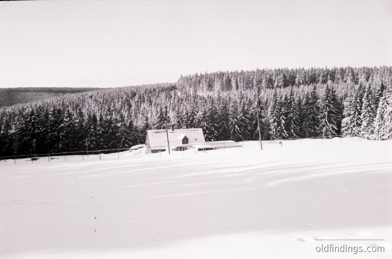 Mid-century alpine lodge nestled in snow-covered forest, likely European Alps. Single-story building with gabled roof and small porch, surrounded by dense evergreen trees. Snow blankets ground and rooftops, indicating winter season. Black-and-white vintage style suggests 1950s–1970s era.