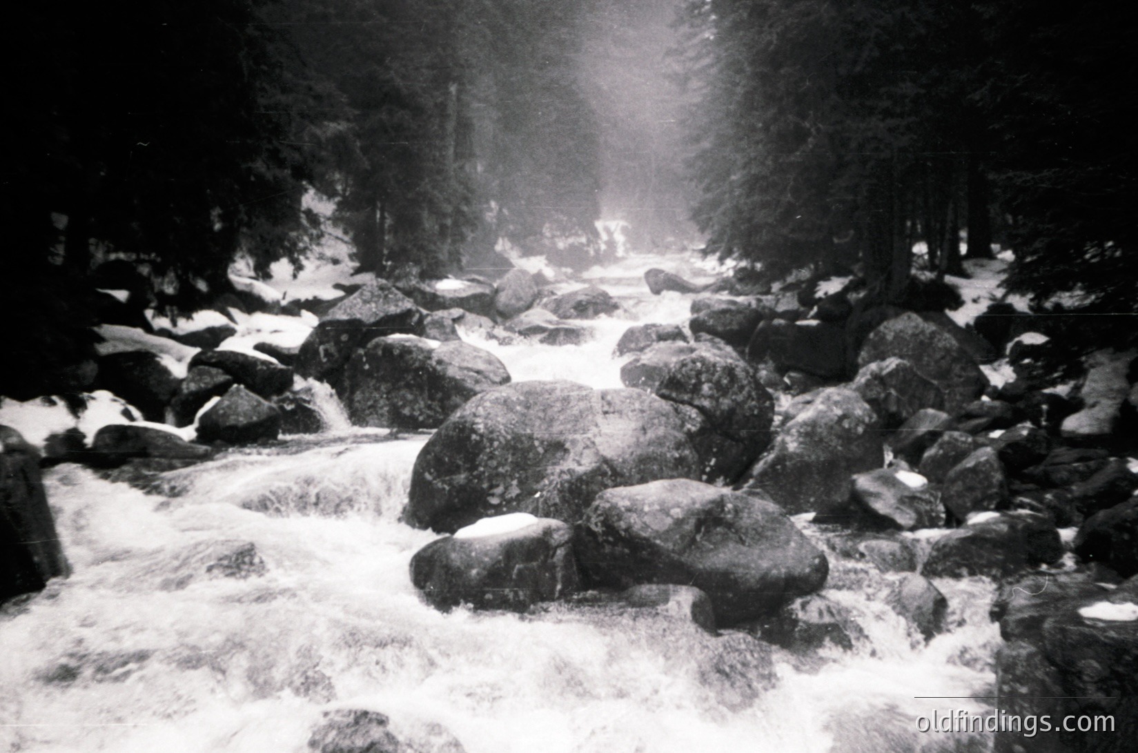 Black-and-white winter scene of a snow-covered mountain stream with cascading water over large rocks. Dense forest of evergreens frames the path, illuminated by sunlight breaking through. High-contrast monochrome captures raw natural beauty.