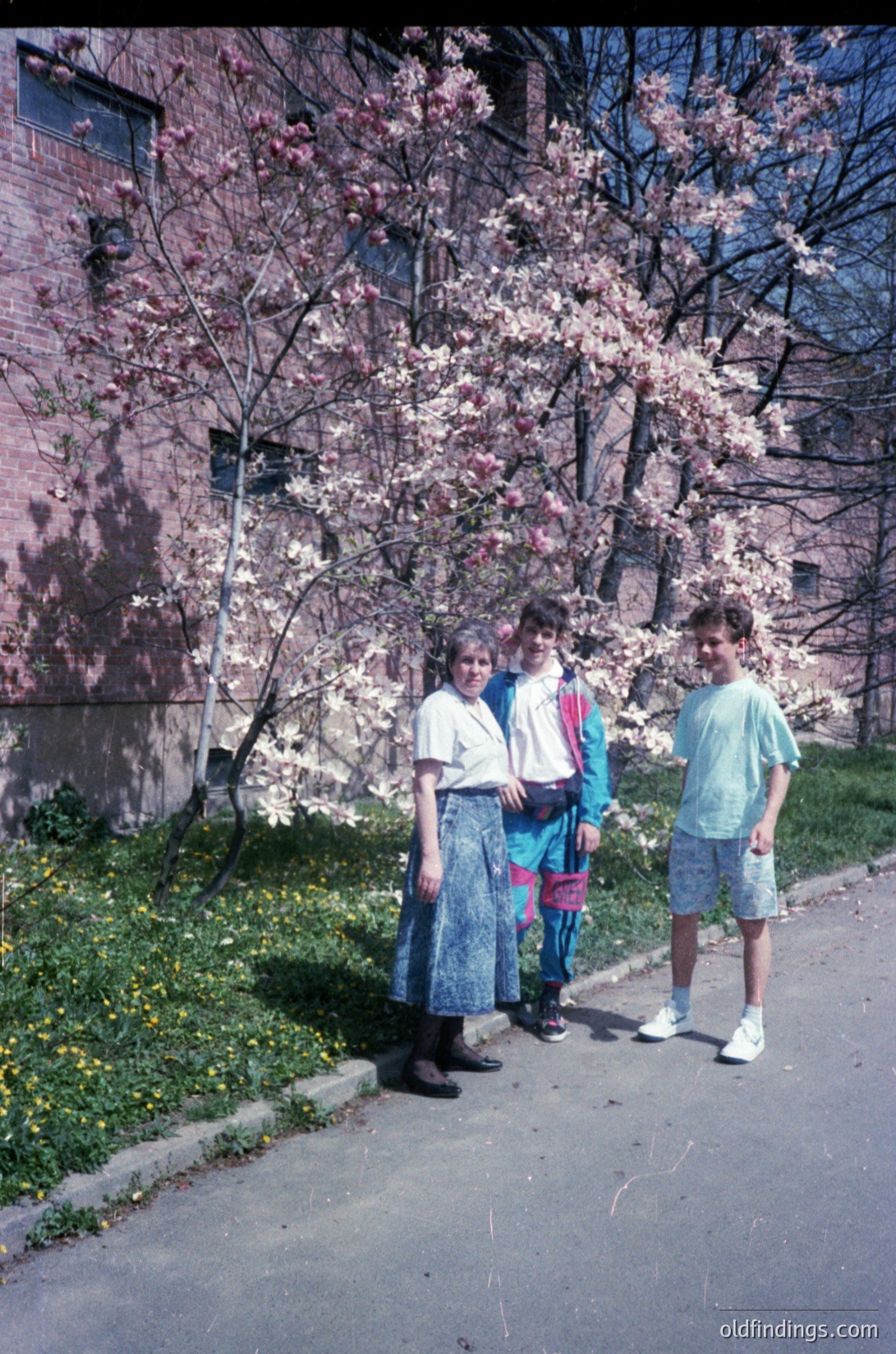 Three individuals pose outdoors beside blooming cherry blossoms and a brick building, likely 1980s–1990s USA. Woman in layered skirt/dress, boy in cropped tee/shorts, girl in patterned top/skirt. Urban park or residential setting with concrete curb and grass.