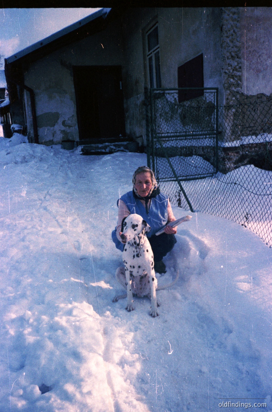 A person in winter attire sits on snow beside a Dalmatian, holding a book. Rustic wooden house with a metal fence and ladder in background. Likely rural setting, mid-20th century.