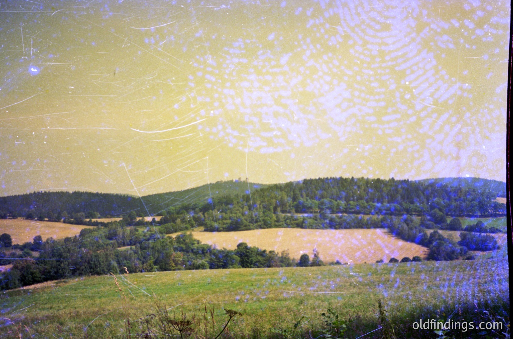 Vintage sepia-toned landscape photograph showing rolling hills, golden fields, and dense forests under a hazy sky. Likely mid-20th century rural European countryside. Damaged edges suggest archival wear.