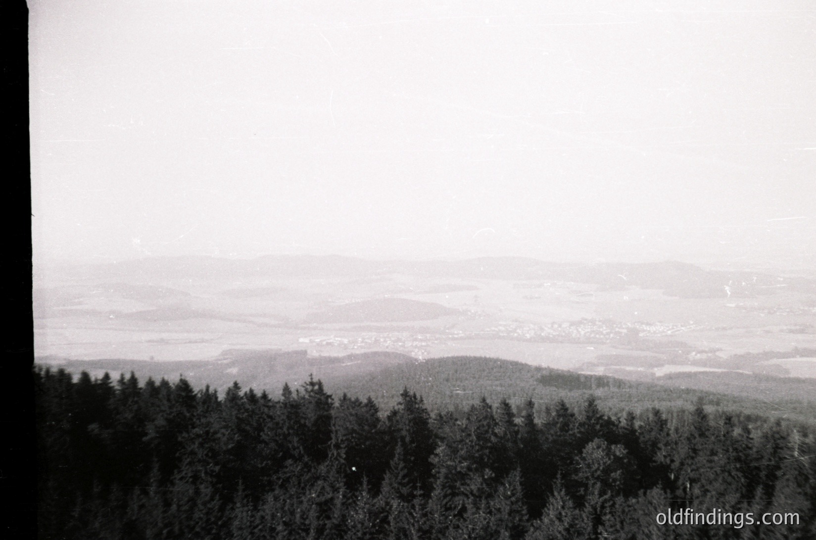 Vintage black-and-white aerial view of forested hills transitioning to a distant urban sprawl. Dense pine trees dominate foreground; mist obscures mid-ground, revealing faint city outlines below. Likely mid-20th century industrial or post-war European landscape.