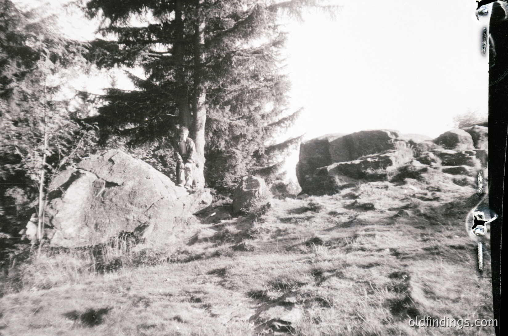 Black-and-white landscape featuring rugged terrain with snow-covered rocks and sparse coniferous trees. Path winds through uneven, frosted ground, suggesting winter conditions. High-contrast lighting enhances texture of snow and bark. Likely alpine or mountainous region.