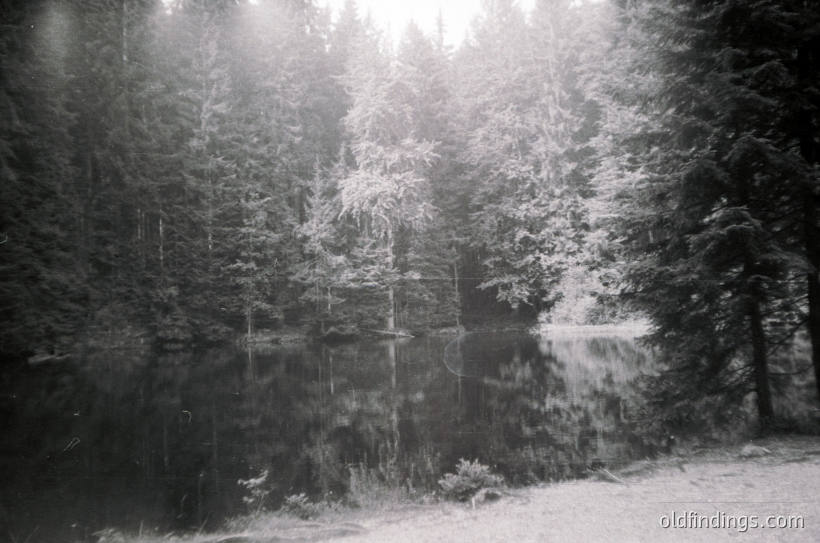 Black-and-white forest scene with snow-laden evergreens framing a tranquil pond. Sunlight filters through branches, casting dappled reflections on still water. Dense foliage and muted tones evoke a serene, wintry atmosphere. Likely mid-20th century due to monochrome style.