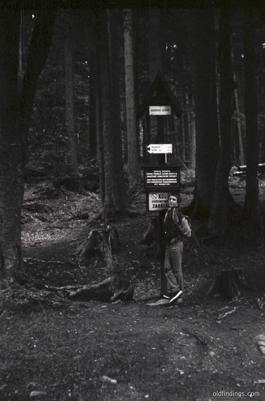 Black-and-white forest scene featuring a lone hiker in mid-20th century attire (dark jacket, trousers, and boots) standing beside directional signs. Dense pine trees frame the path, with a signpost indicating hiking routes and a "No Smoking" warning. Likely European alpine region, 1950s–1970s.