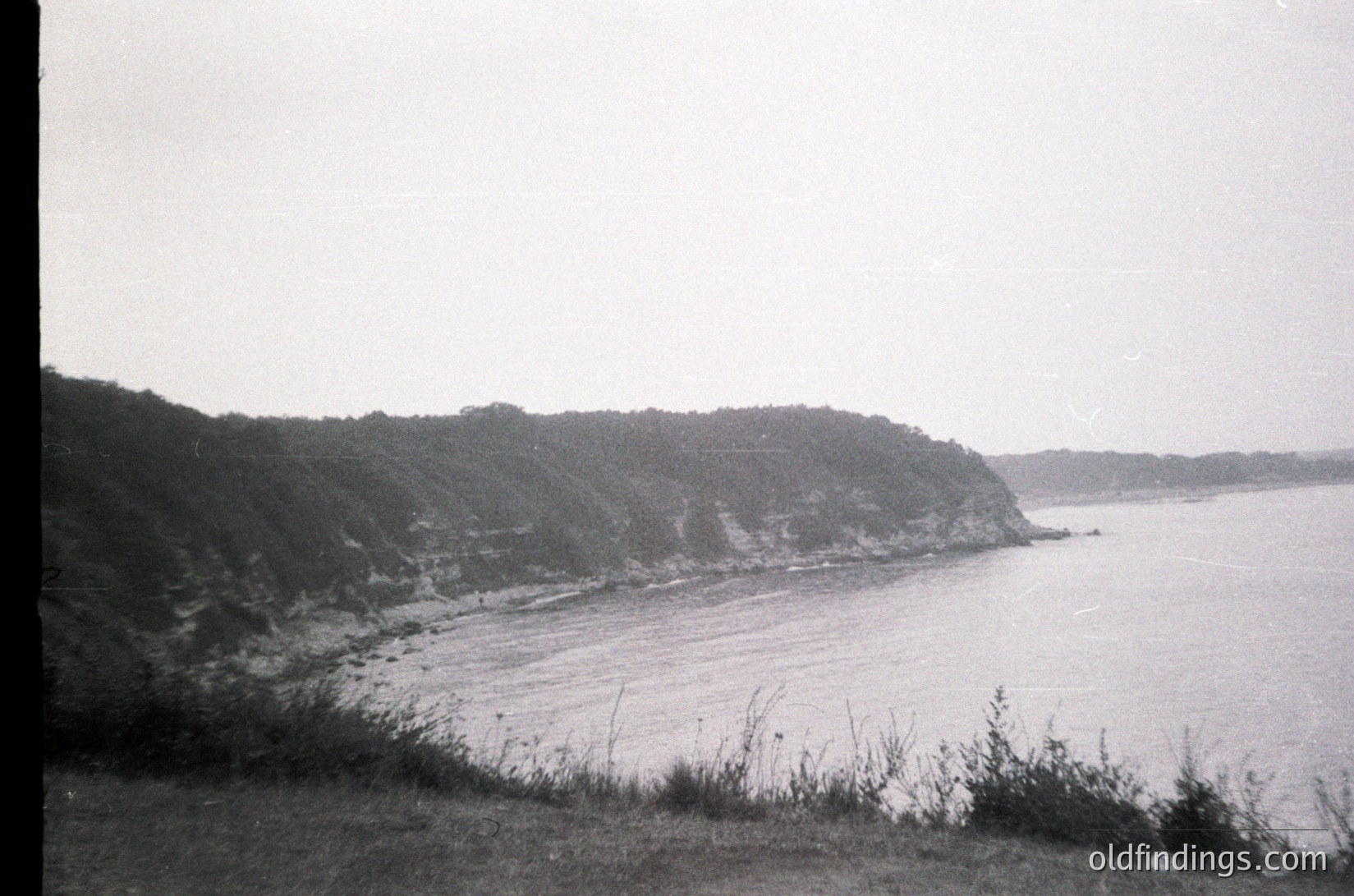 Black-and-white coastal scene featuring steep, forested cliffs meeting calm waters. Vegetation appears dense along the cliffside, with a grassy foreground. Likely mid-20th century due to monochrome and grain texture.