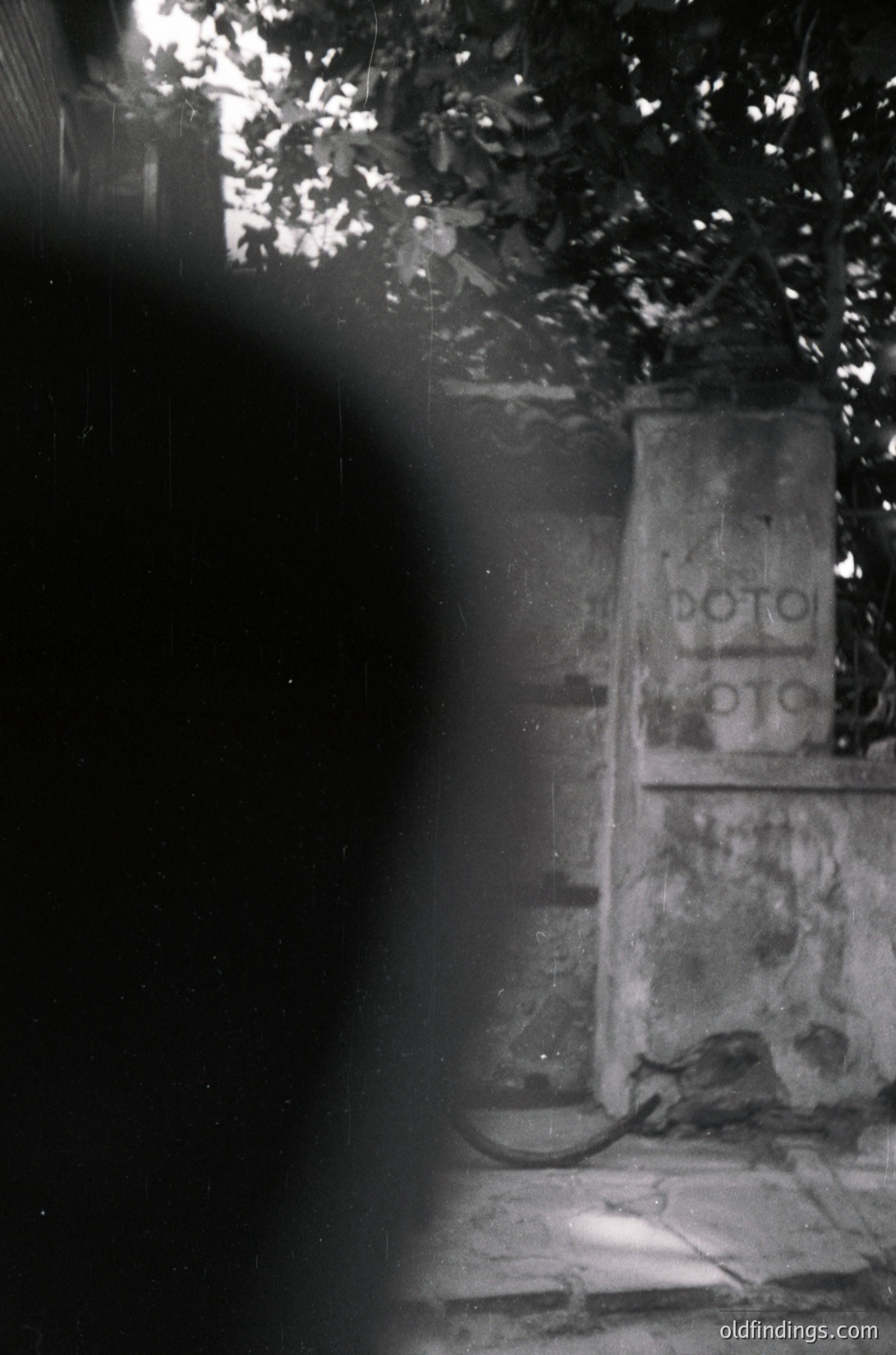 Vintage black-and-white photo of a dimly lit alleyway with a sign reading "ПОТО ПОТО" (Bulgarian for "pot pot," possibly a graffiti or faded advertisement). Sunlight filters through leaves, illuminating a corner where a black cat sits on a stone ledge. Architectural details include weathered stone walls and a tiled floor. Likely Bulgaria, 1960s–1980s.