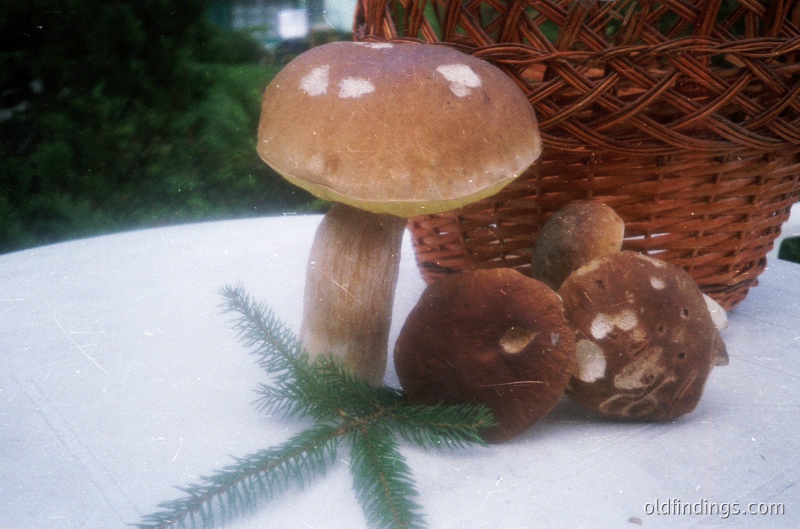 Vintage ceramic mushrooms in a rustic basket with pine sprig, likely 1970s-1980s European decor. écor
