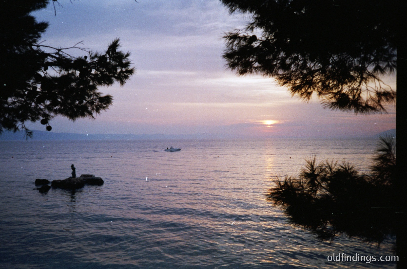 Golden-hour seascape with lone figure standing on rocky outcrop, framed by pine branches. Distant boat glides under soft sunset hues over calm waters. Coastal landscape evokes mid-20th century seaside solitude.