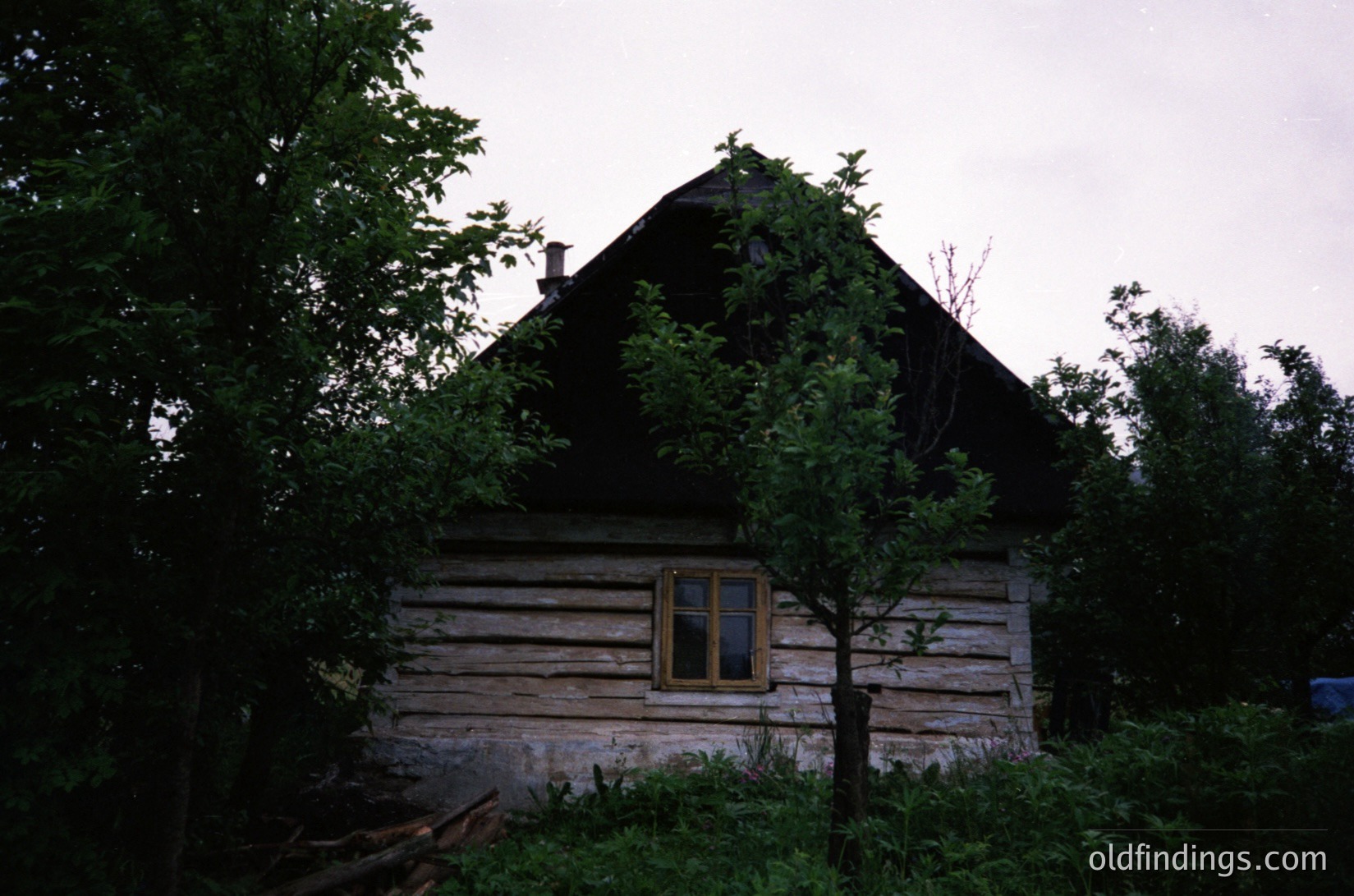 Rustic log cabin with steep gabled roof, partially obscured by dense greenery. Weathered wooden planks and single small window suggest rural, possibly Eastern European setting. Overgrown vegetation indicates long-term abandonment. Likely late 20th century construction.