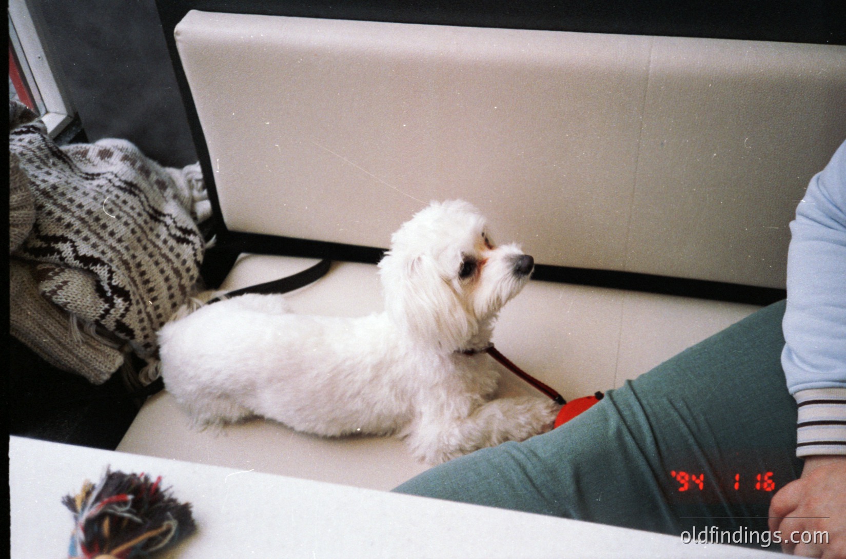 A small white fluffy dog sits on a couch beside a person’s leg, wearing a red leash. The scene includes a vintage digital clock displaying "19:16" and a knitted blanket folded on the backrest. Indoor setting, likely late 1990s–early 2000s.