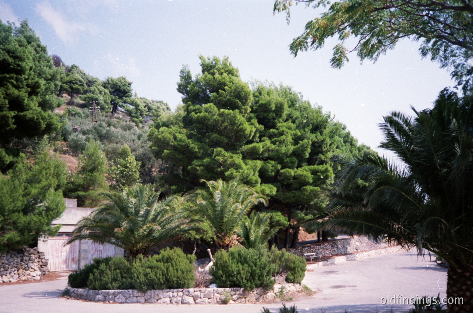 Lush Mediterranean garden with manicured hedges, palm trees, and dense greenery framing a stone pathway. Stone walls and a low-lying building suggest a coastal or villa setting. Clear skies and bright lighting indicate daytime.
