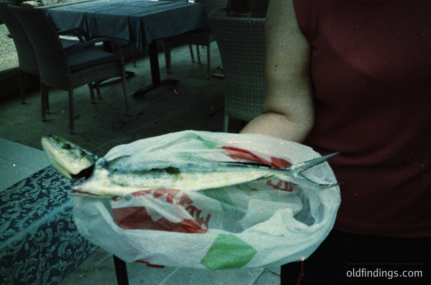 Whole grilled fish served on a white paper plate with lettuce and tomato slices, placed on a patterned tablecloth in an outdoor café setting. Mid-20th century dining style with plastic cutlery visible. Likely Mediterranean or seaside cuisine. é