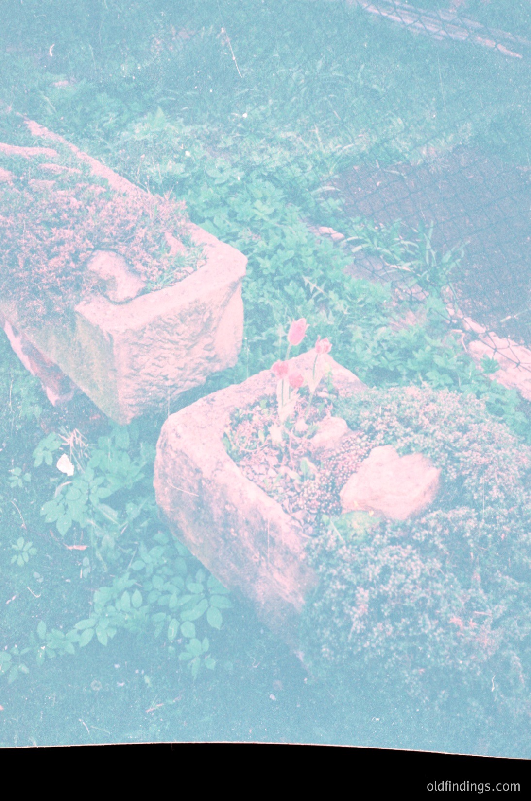 Vintage aerial view of overgrown stone ruins partially submerged in shallow water, surrounded by dense greenery. Likely a historic site or abandoned structure, suggesting mid-20th century decay.