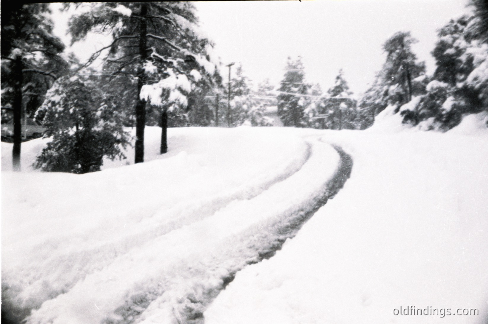 Snow-covered road winding through evergreen forest, mid-20th century black-and-white. Bare trees and tire tracks in fresh powder, suggesting recent plowing.