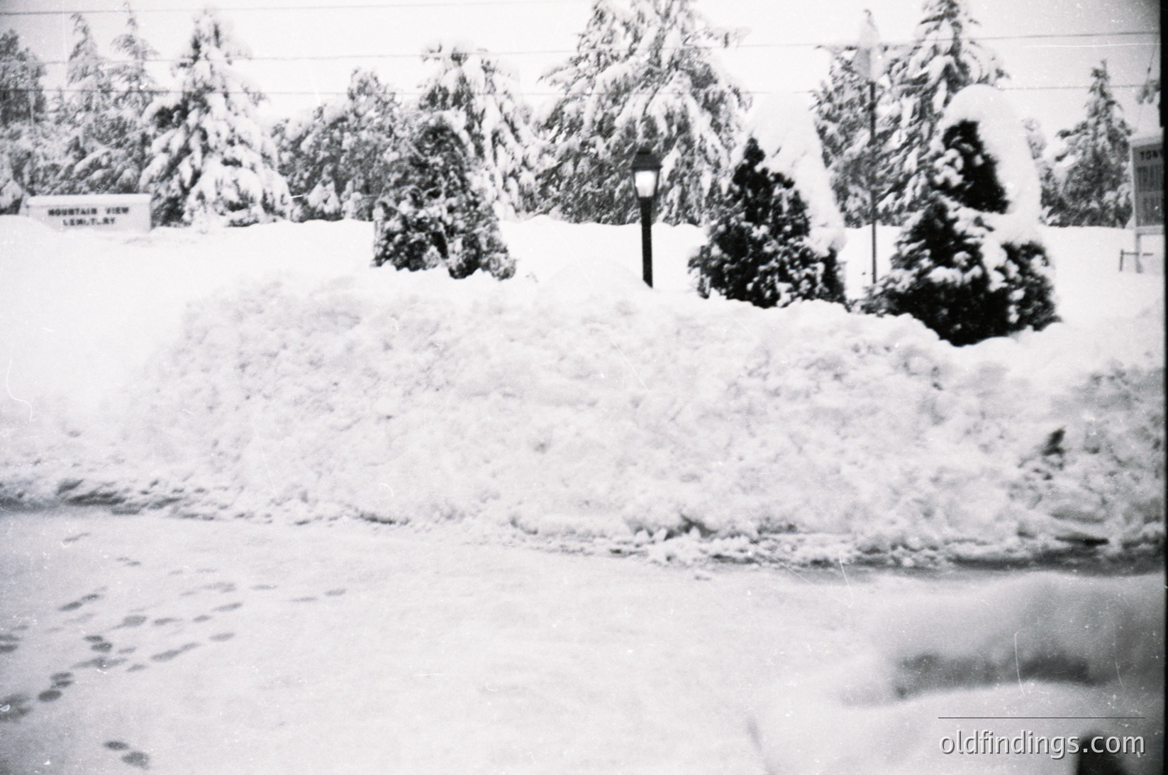 Snow-covered forest road with sign reading "Mountain View Lem T.Y." in vintage monochrome. Dense evergreens line both sides, partially obscuring a paved road beneath. Footprints and tire tracks mark the snow. Likely 1950s–1970s, U.S. Pacific Northwest.