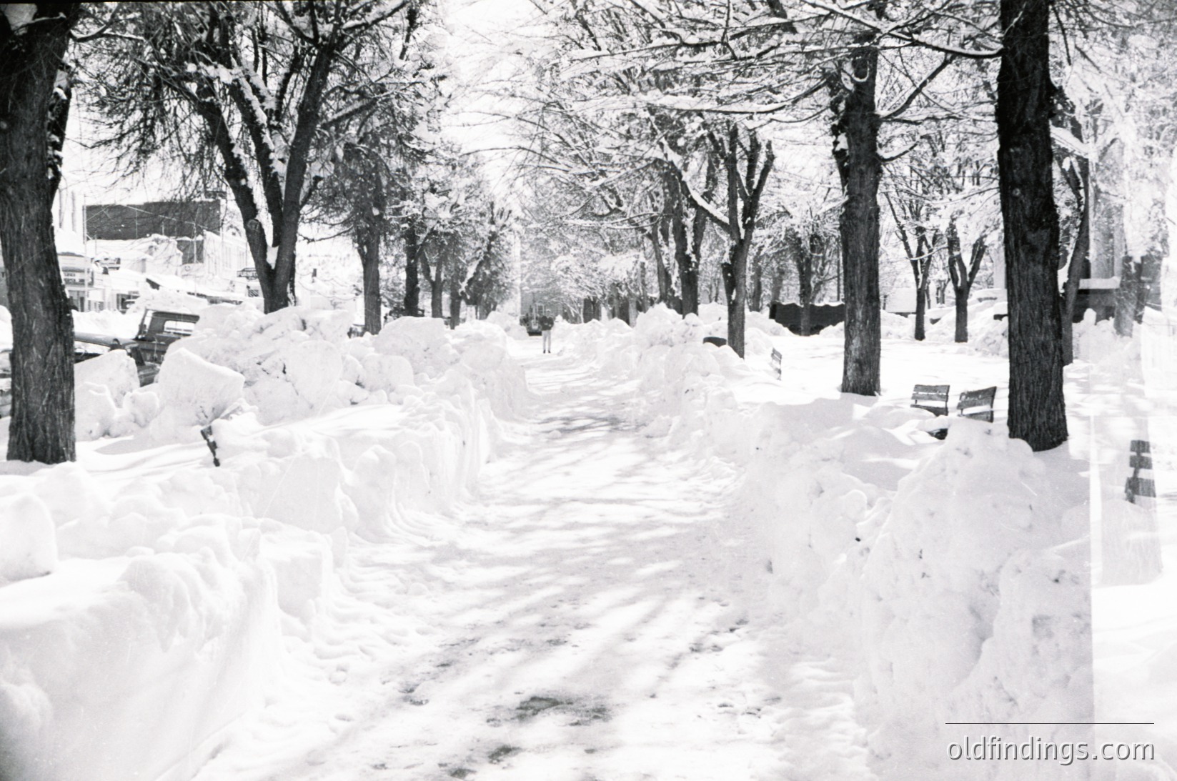 Snow-covered urban park pathway lined with leafless trees, buried benches, and drifts up to 2m high. Monochrome aesthetic highlights winter’s stark beauty. Likely mid-20th century urban design.