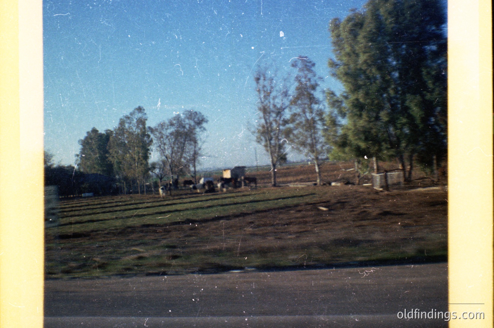 Vintage slide of rural countryside scene through a car window, showing a mix of dry grass fields and scattered trees. A lone vehicle and small structures hint at agricultural activity. Yellowed tint suggests mid-20th century (1950s–1970s) photography.