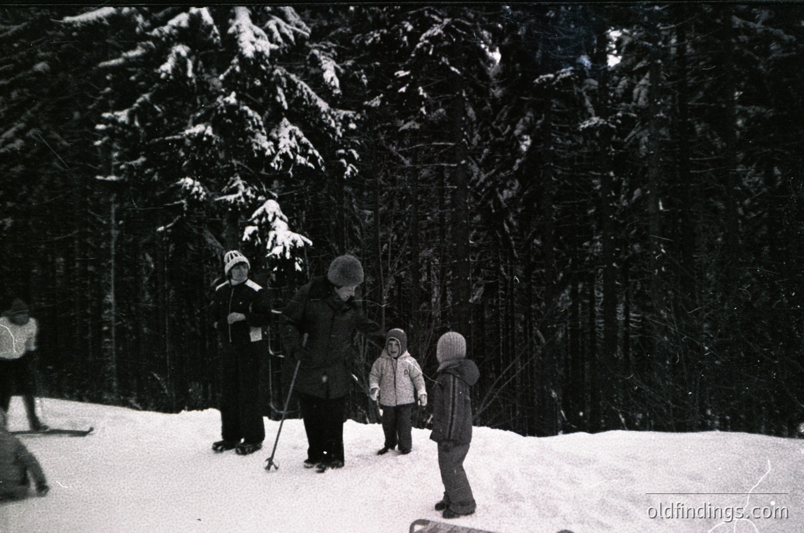 Black-and-white winter scene featuring a group of skiers in a forested area, likely mid-20th century. Adults and children in heavy winter gear pose with skis, surrounded by snow-laden evergreens.