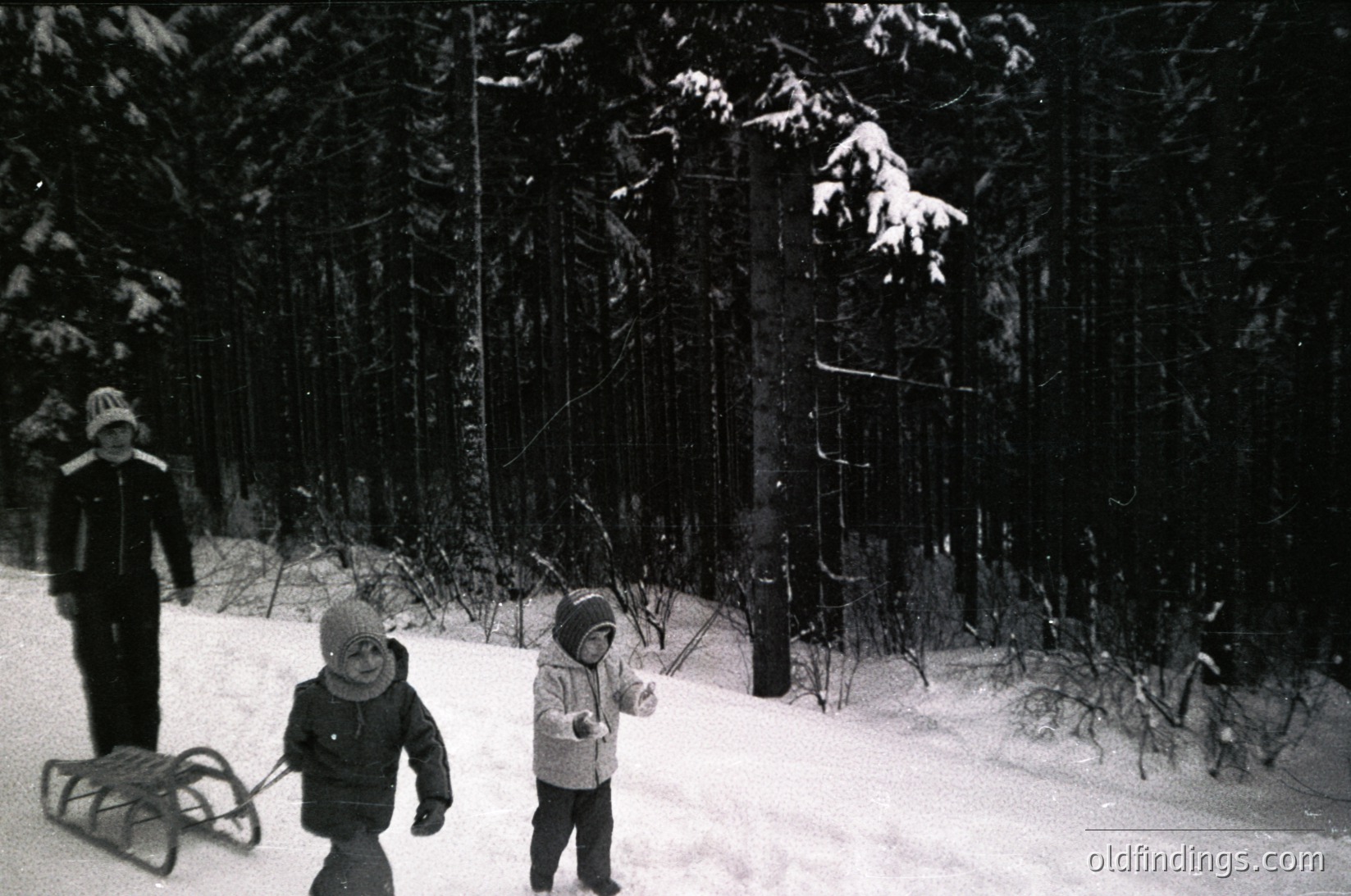 Black-and-white winter scene: three children in winter attire (hooded coats, mittens) playing in a snow-covered forest. One child pulls a sled, another holds a stick. Dense evergreen trees frame the scene, suggesting a mid-20th century outdoor activity.